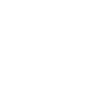 زیست فست